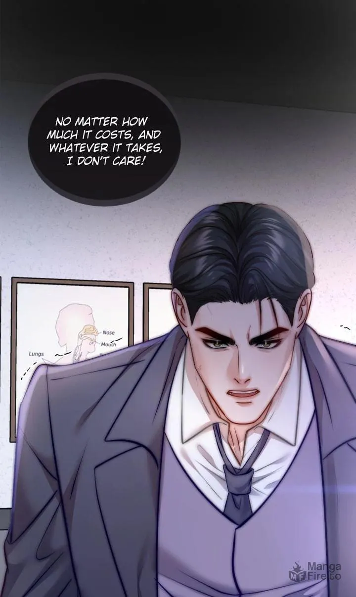 The Billionaire’s Replacement Wife Chapter 29 page 50 - 