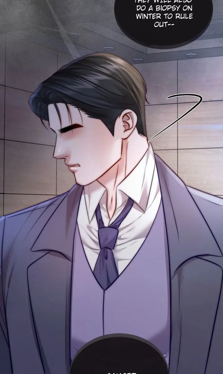 The Billionaire’s Replacement Wife Chapter 29 page 61 - 