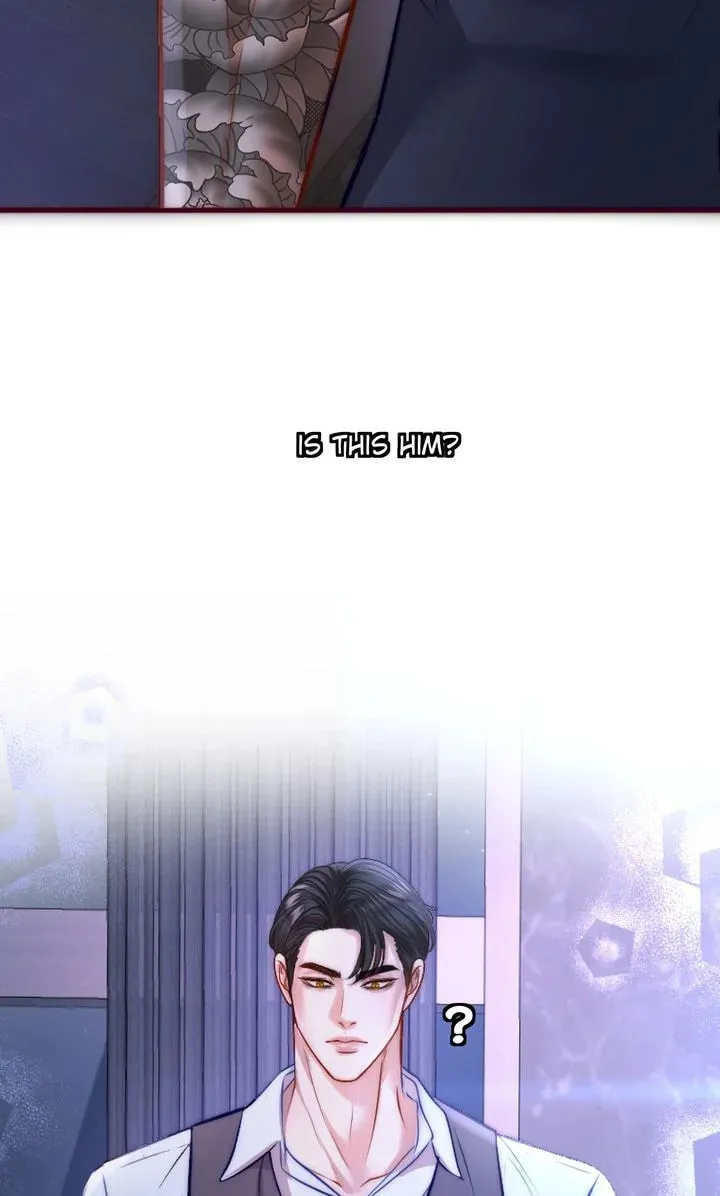 The Billionaire’s Replacement Wife Chapter 3 page 11 - 