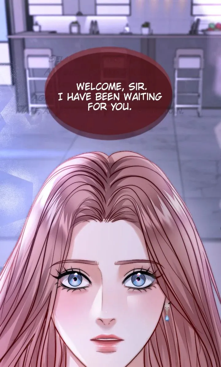 The Billionaire’s Replacement Wife Chapter 3 page 19 - 