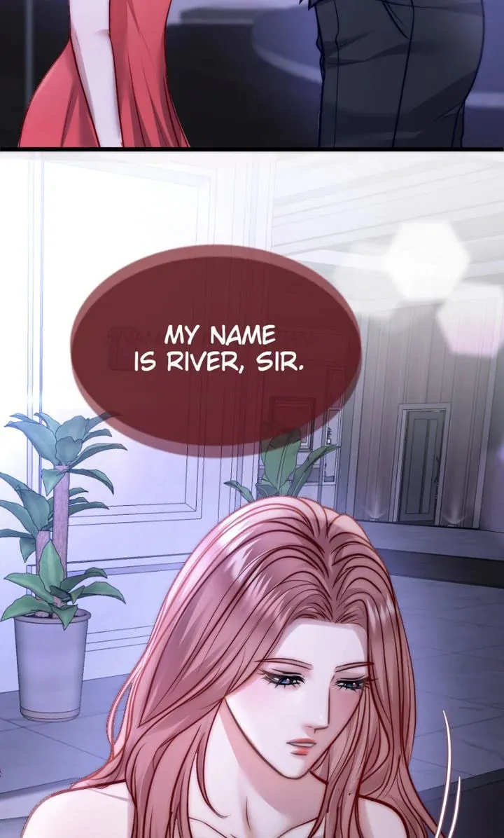 The Billionaire’s Replacement Wife Chapter 3 page 23 - 