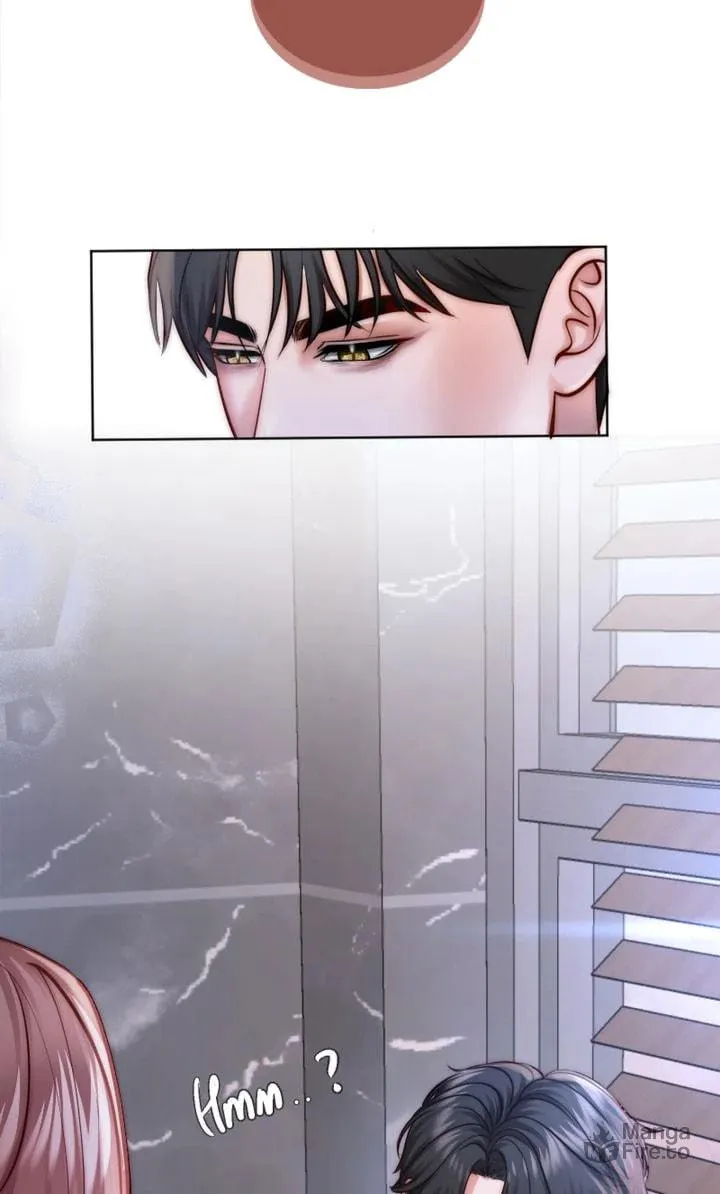 The Billionaire’s Replacement Wife Chapter 30 page 15 - 