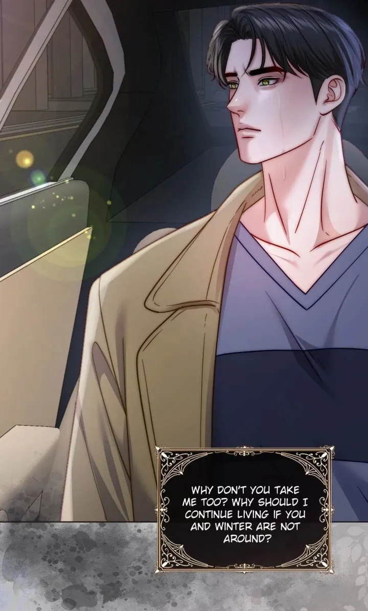 The Billionaire’s Replacement Wife Chapter 30 page 43 - 