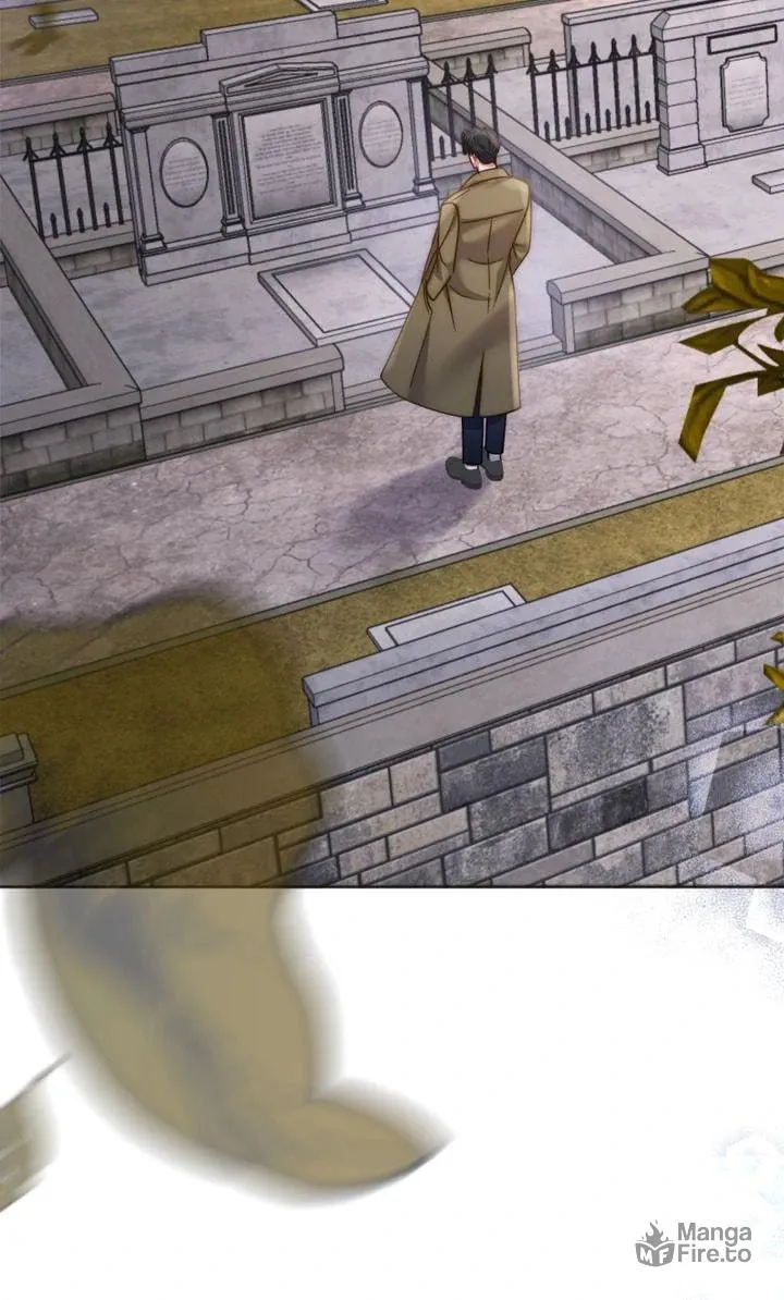 The Billionaire’s Replacement Wife Chapter 30 page 45 - 