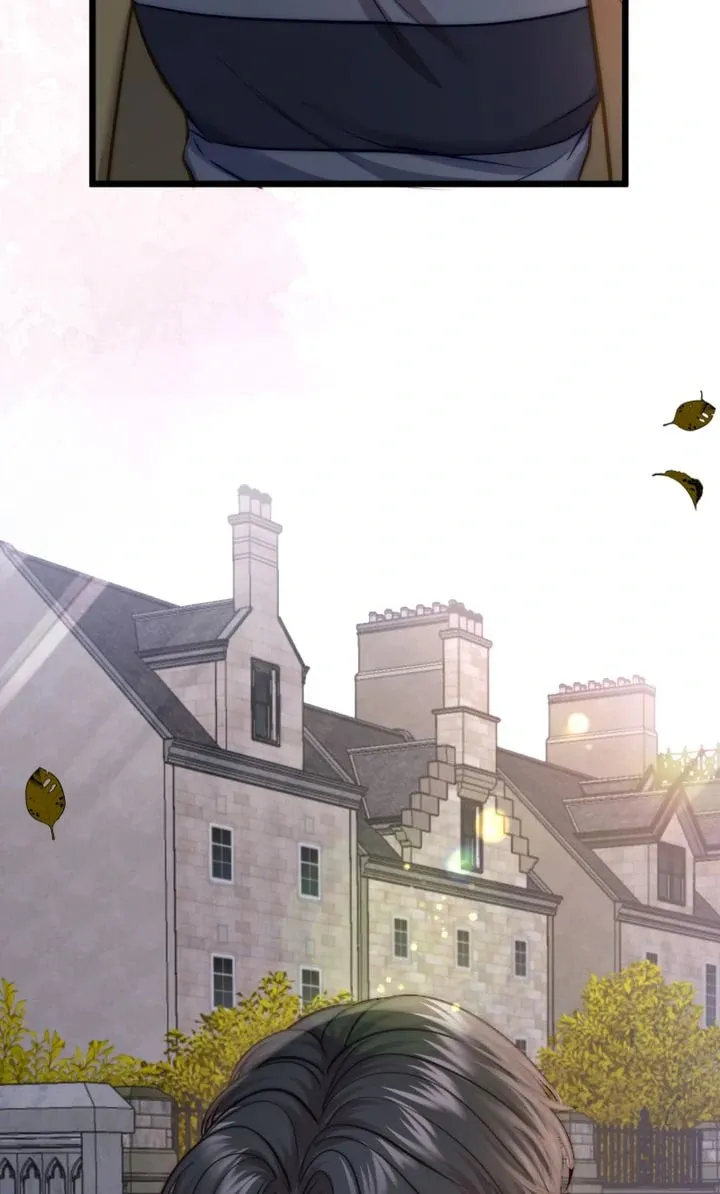 The Billionaire’s Replacement Wife Chapter 30 page 52 - 
