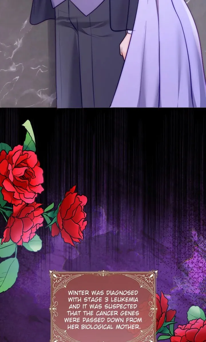 The Billionaire’s Replacement Wife Chapter 30 page 7 - 
