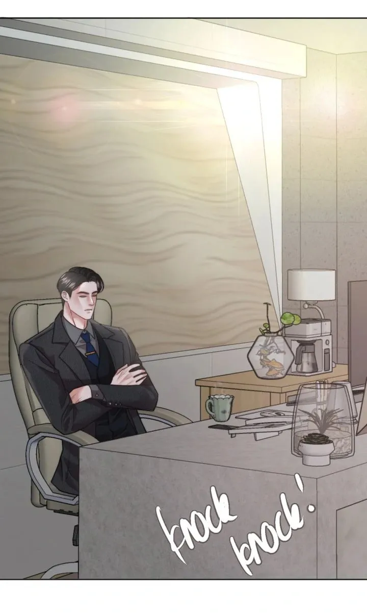 The Billionaire’s Replacement Wife Chapter 31 page 43 - 