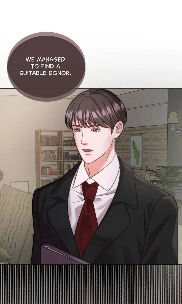 The Billionaire’s Replacement Wife Chapter 31 page 47 - 