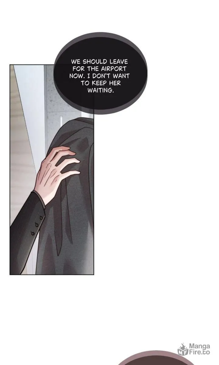 The Billionaire’s Replacement Wife Chapter 31 page 66 - 