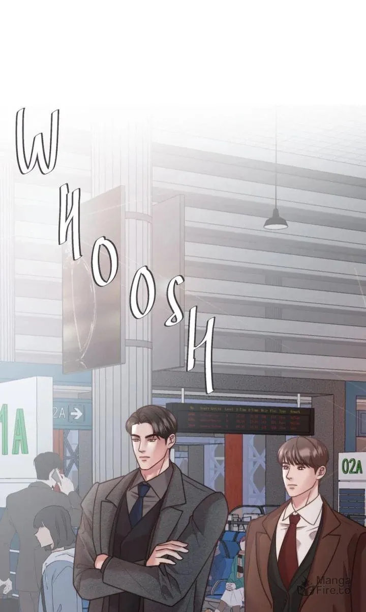 The Billionaire’s Replacement Wife Chapter 31 page 70 - 