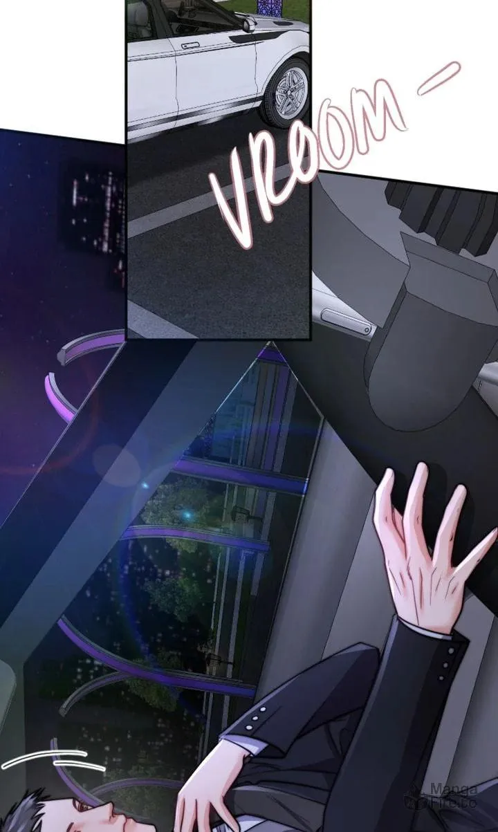 The Billionaire’s Replacement Wife Chapter 33 page 66 - 