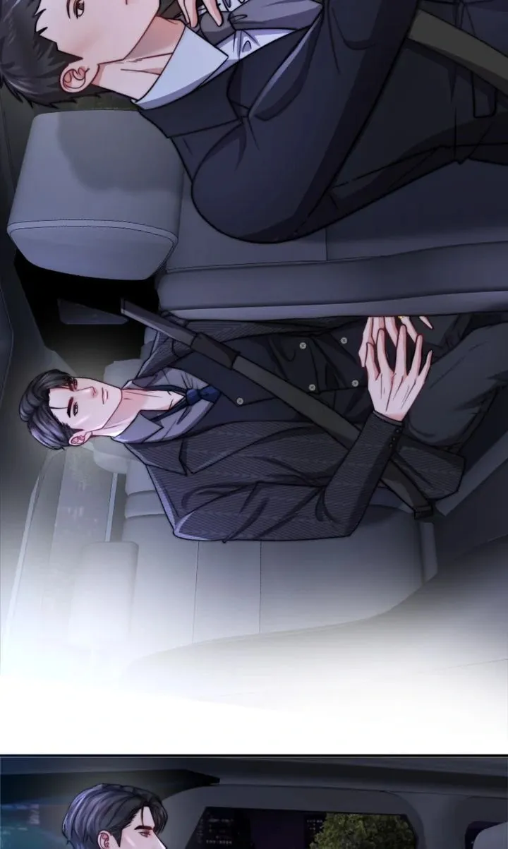 The Billionaire’s Replacement Wife Chapter 33 page 67 - 