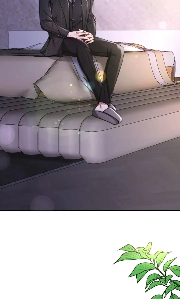 The Billionaire’s Replacement Wife Chapter 34 page 17 - 