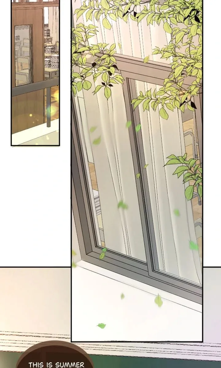 The Billionaire’s Replacement Wife Chapter 34 page 44 - 