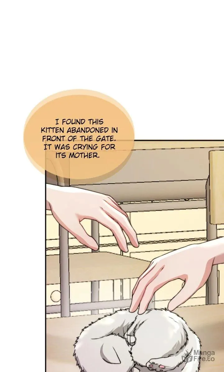The Billionaire’s Replacement Wife Chapter 34 page 55 - 