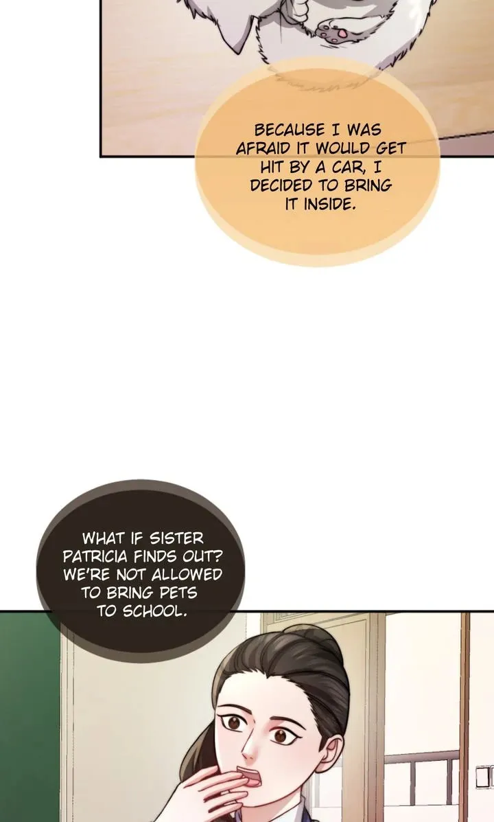 The Billionaire’s Replacement Wife Chapter 34 page 56 - 