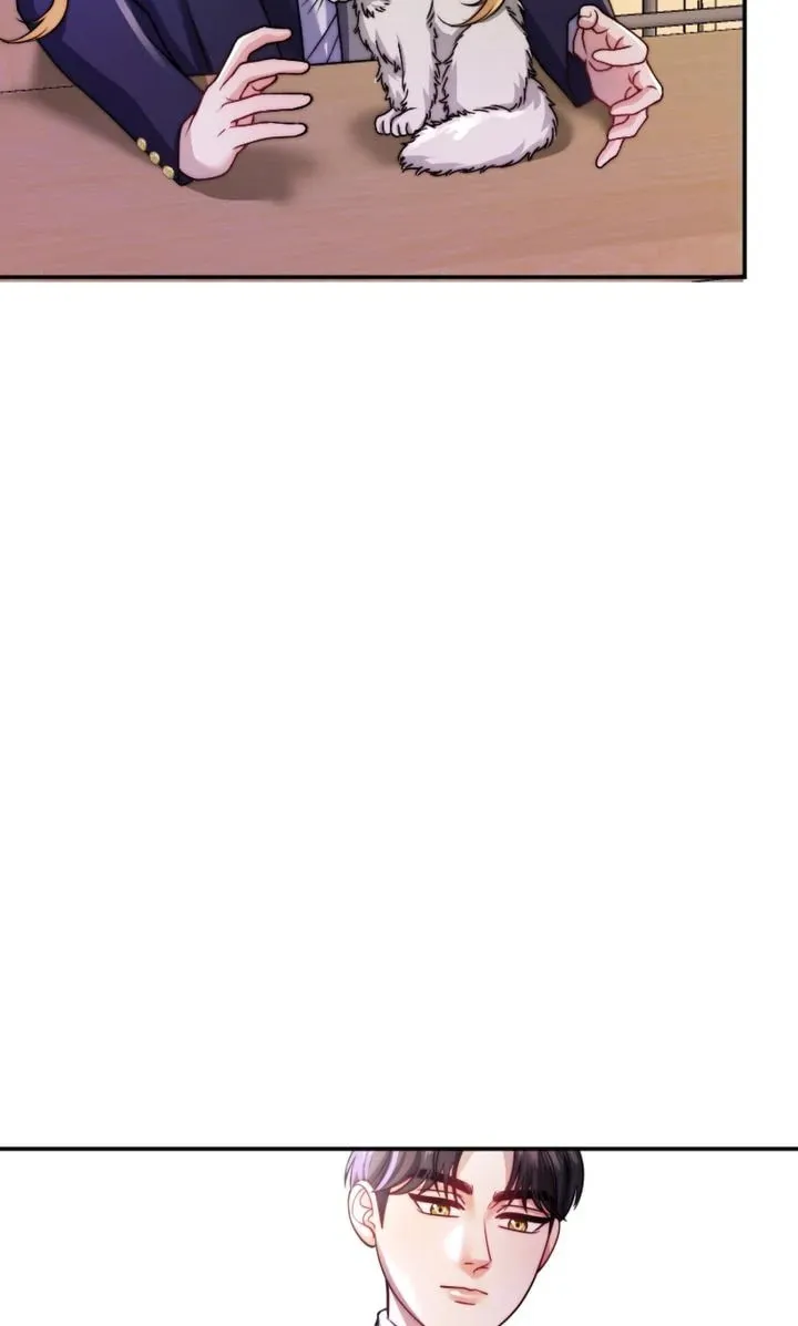 The Billionaire’s Replacement Wife Chapter 34 page 64 - 