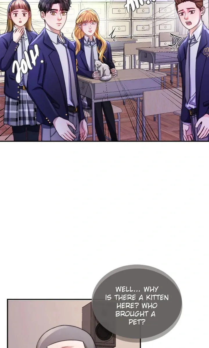 The Billionaire’s Replacement Wife Chapter 34 page 68 - 
