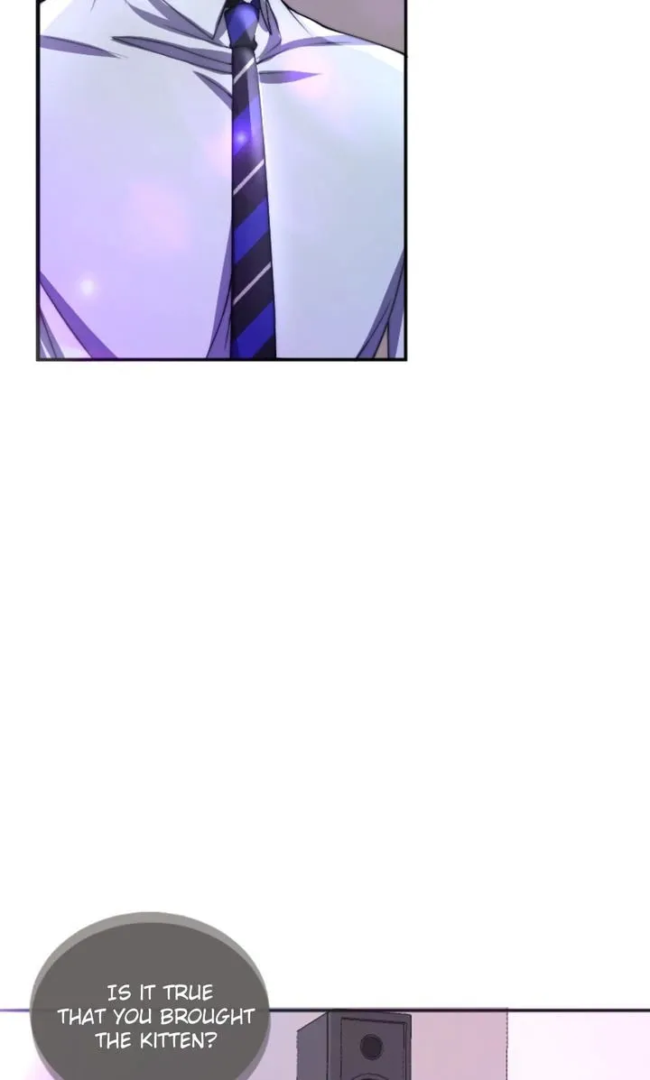 The Billionaire’s Replacement Wife Chapter 34 page 73 - 