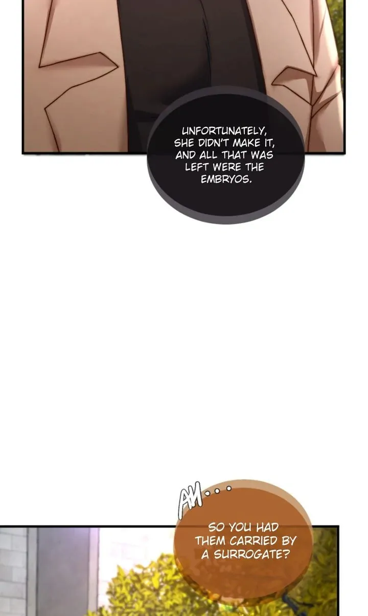 The Billionaire’s Replacement Wife Chapter 35 page 17 - 