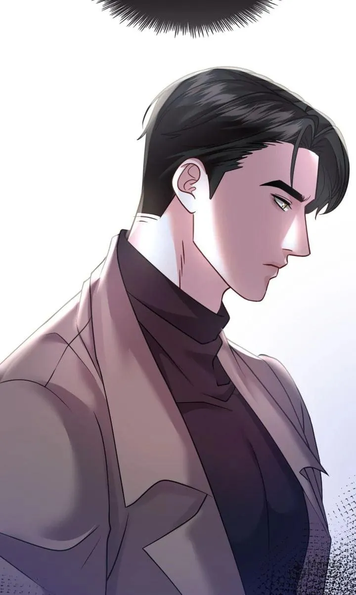 The Billionaire’s Replacement Wife Chapter 35 page 72 - 