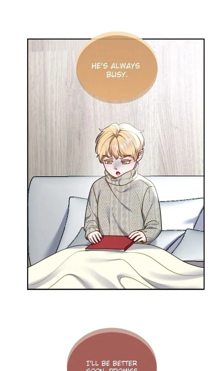 The Billionaire’s Replacement Wife Chapter 38 page 17 - 