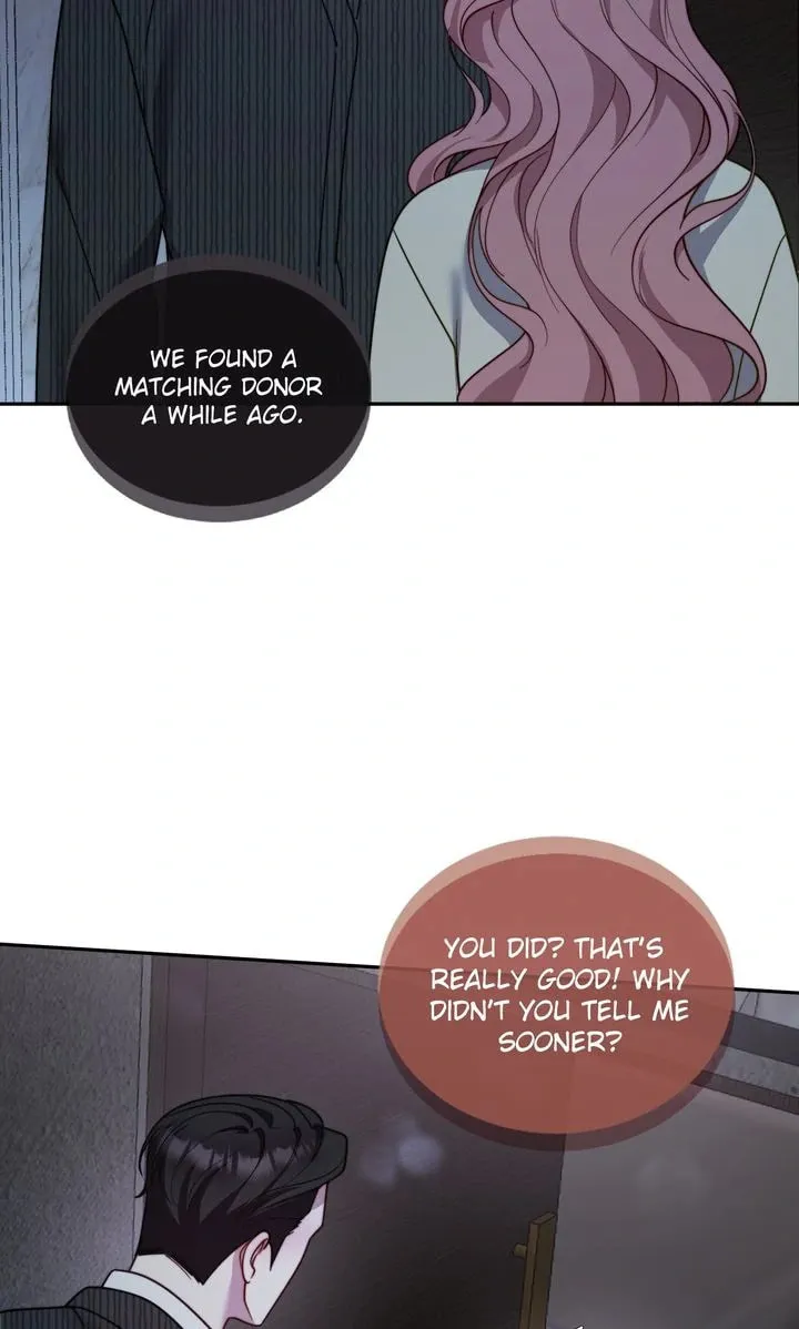 The Billionaire’s Replacement Wife Chapter 39 page 29 - 
