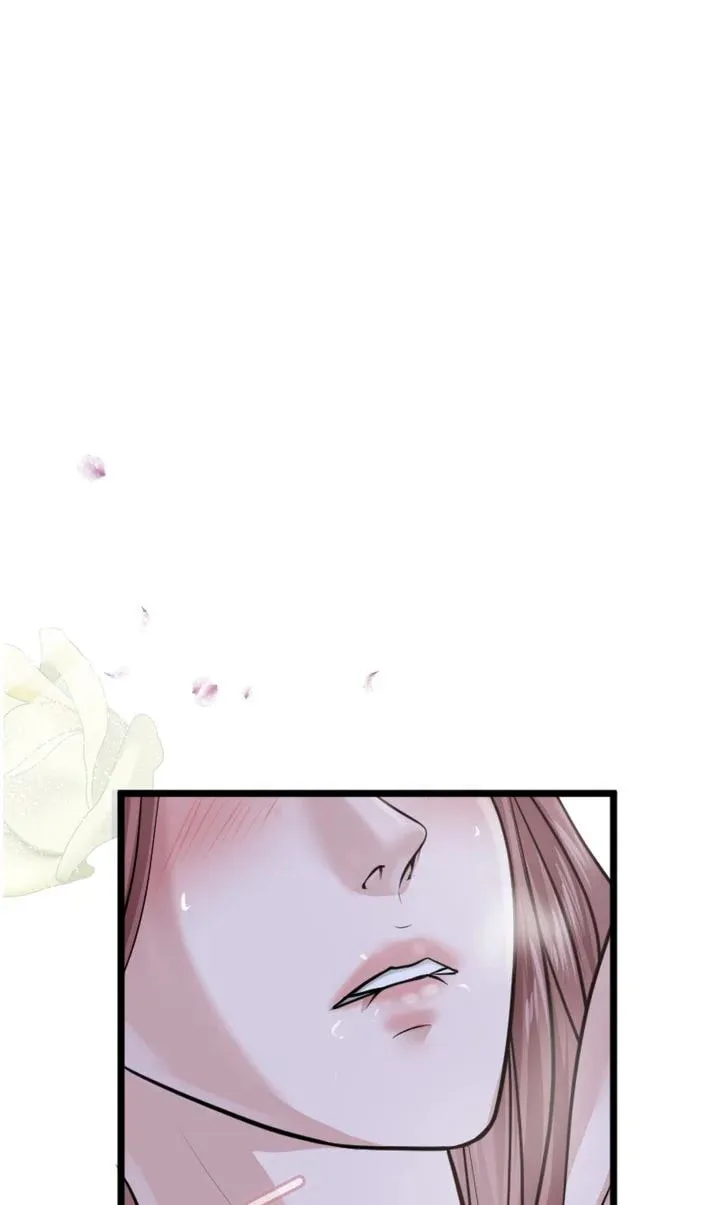 The Billionaire’s Replacement Wife Chapter 4 page 67 - 