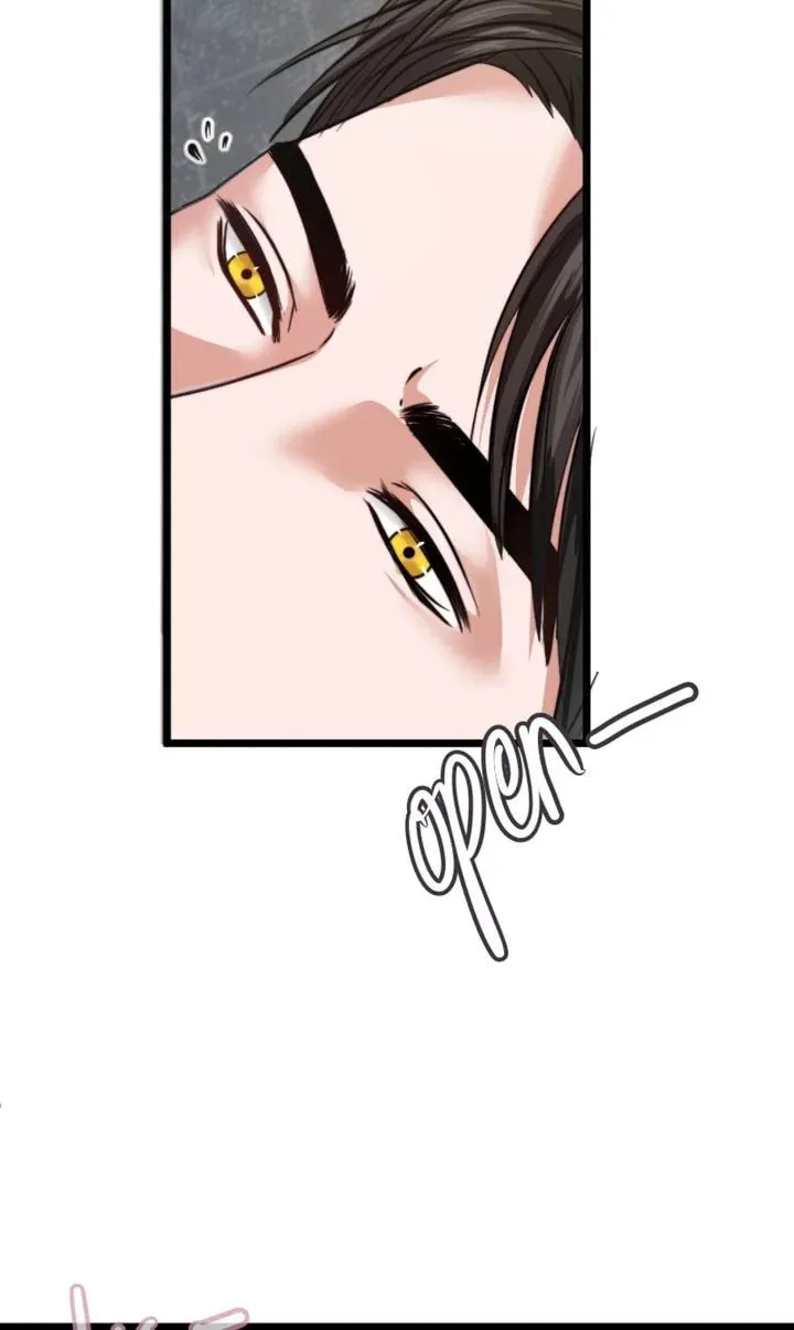 The Billionaire’s Replacement Wife Chapter 4 page 76 - 