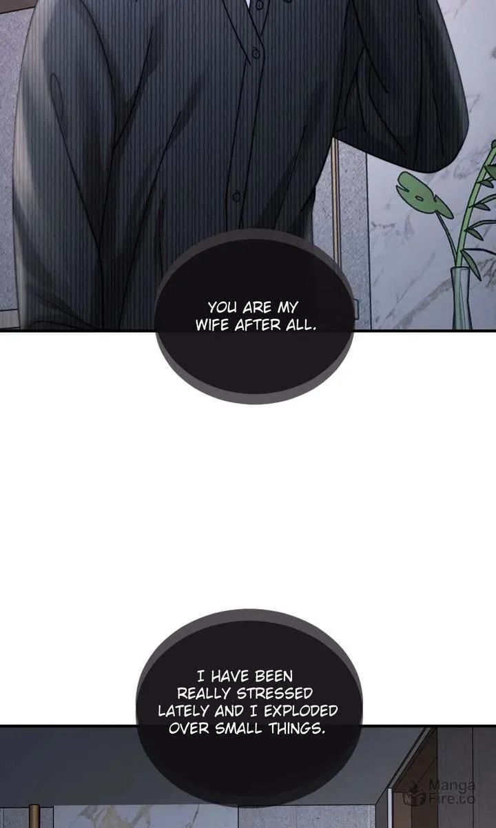 The Billionaire’s Replacement Wife Chapter 40 page 15 - 