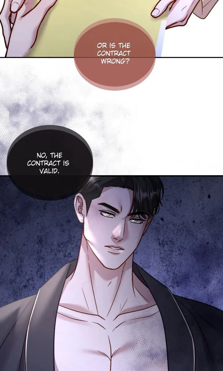 The Billionaire’s Replacement Wife Chapter 42 page 92 - 