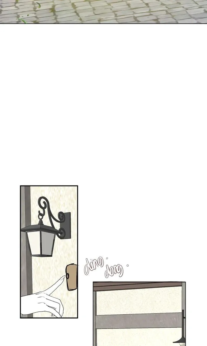 The Billionaire’s Replacement Wife Chapter 43 page 44 - 