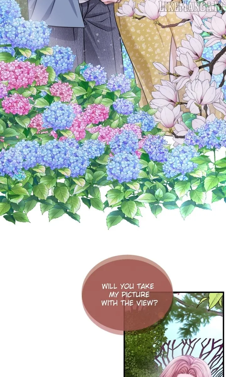 The Billionaire’s Replacement Wife Chapter 47 page 80 - 