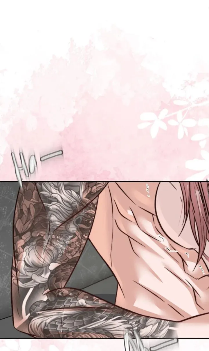 The Billionaire’s Replacement Wife Chapter 5 page 19 - 