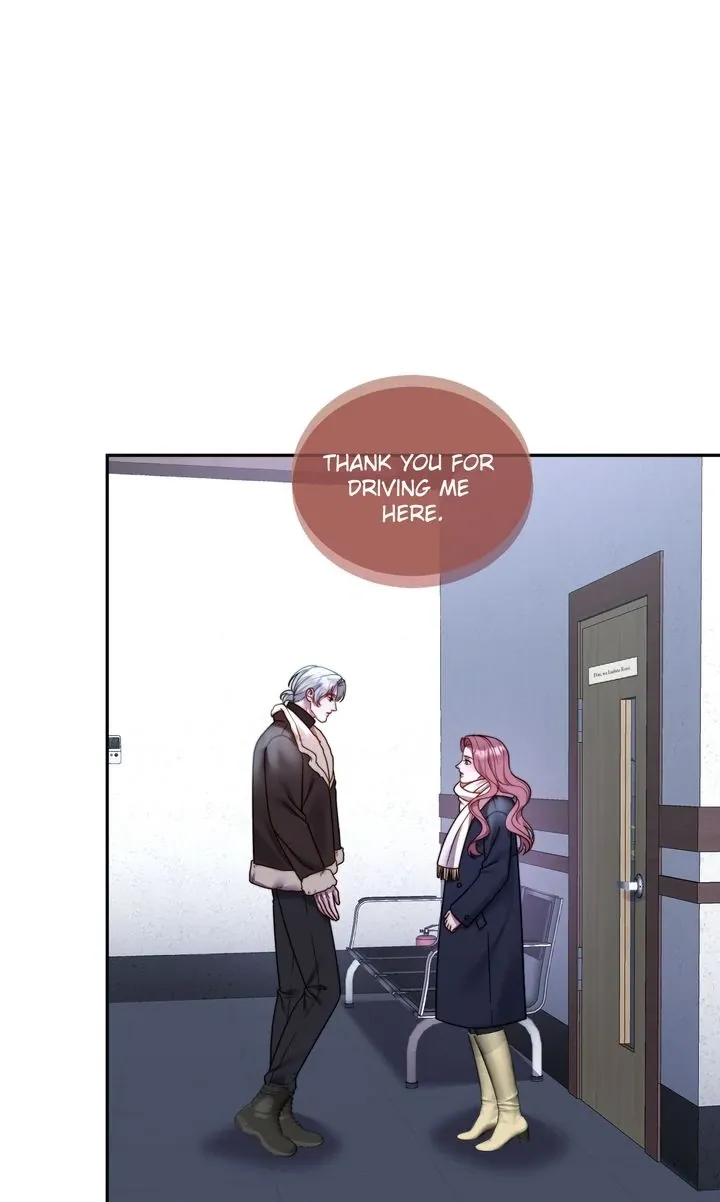 The Billionaire’s Replacement Wife Chapter 50 page 17 - 
