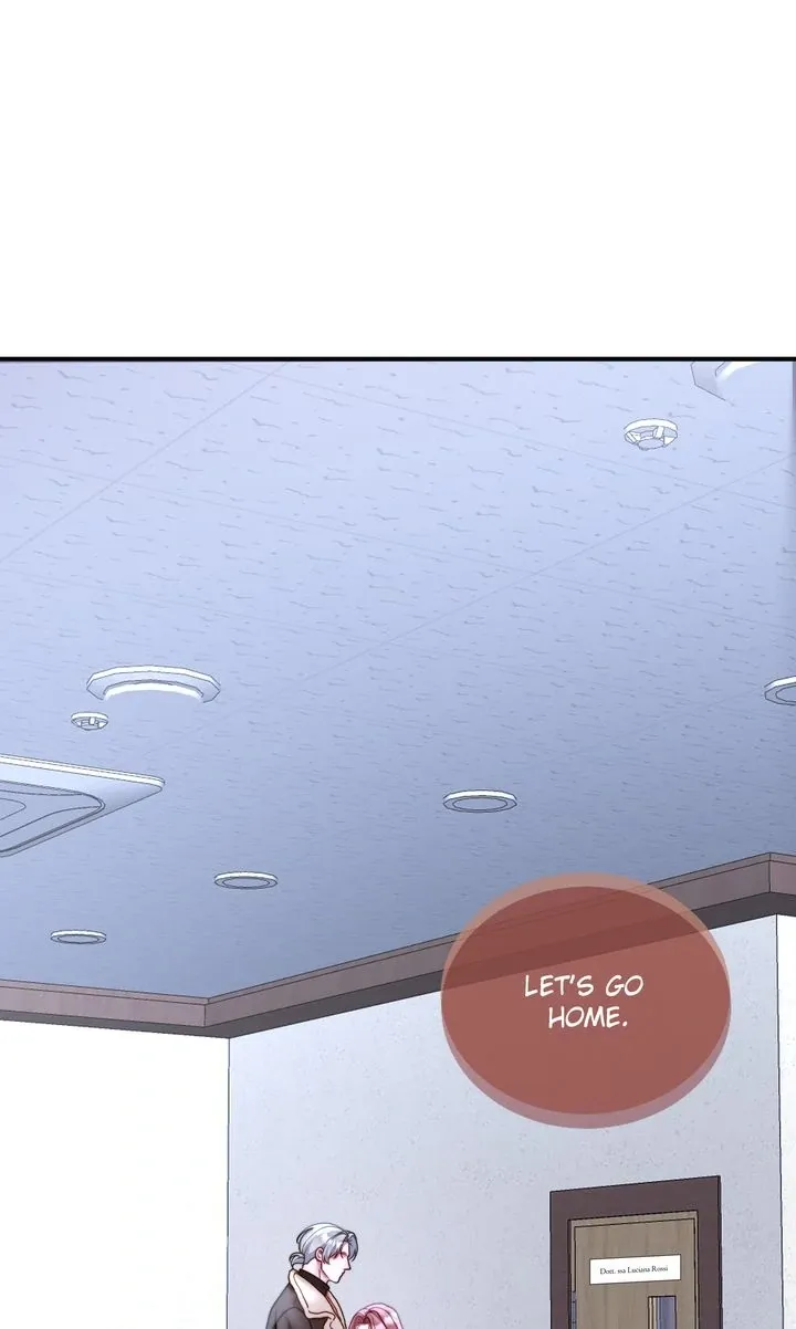 The Billionaire’s Replacement Wife Chapter 50 page 19 - 