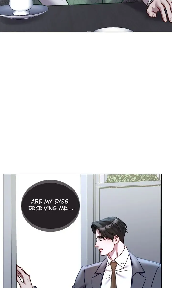 The Billionaire’s Replacement Wife Chapter 51.1 page 27 - 