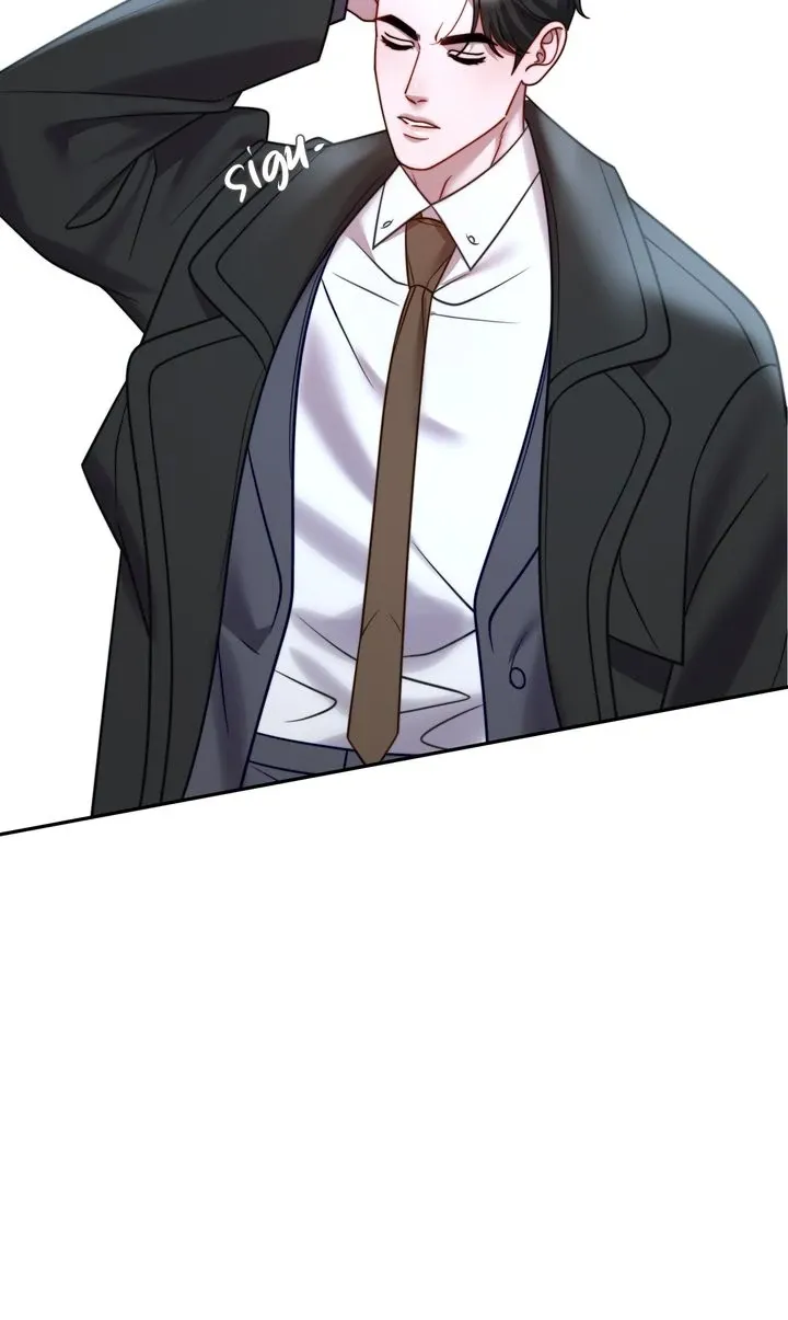 The Billionaire’s Replacement Wife Chapter 51 page 52 - 