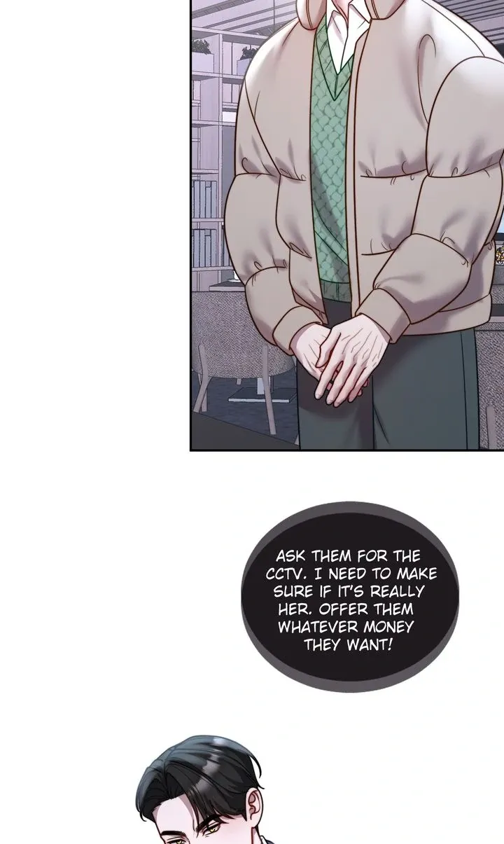 The Billionaire’s Replacement Wife Chapter 51 page 66 - 
