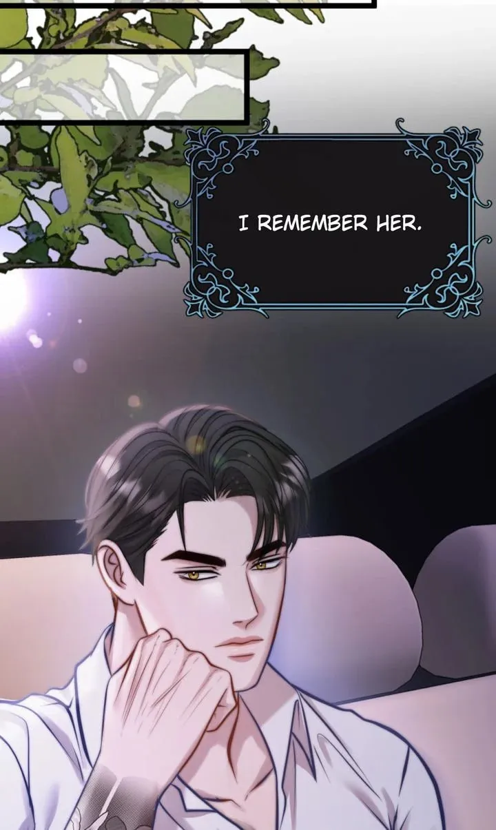 The Billionaire’s Replacement Wife Chapter 6 page 28 - 