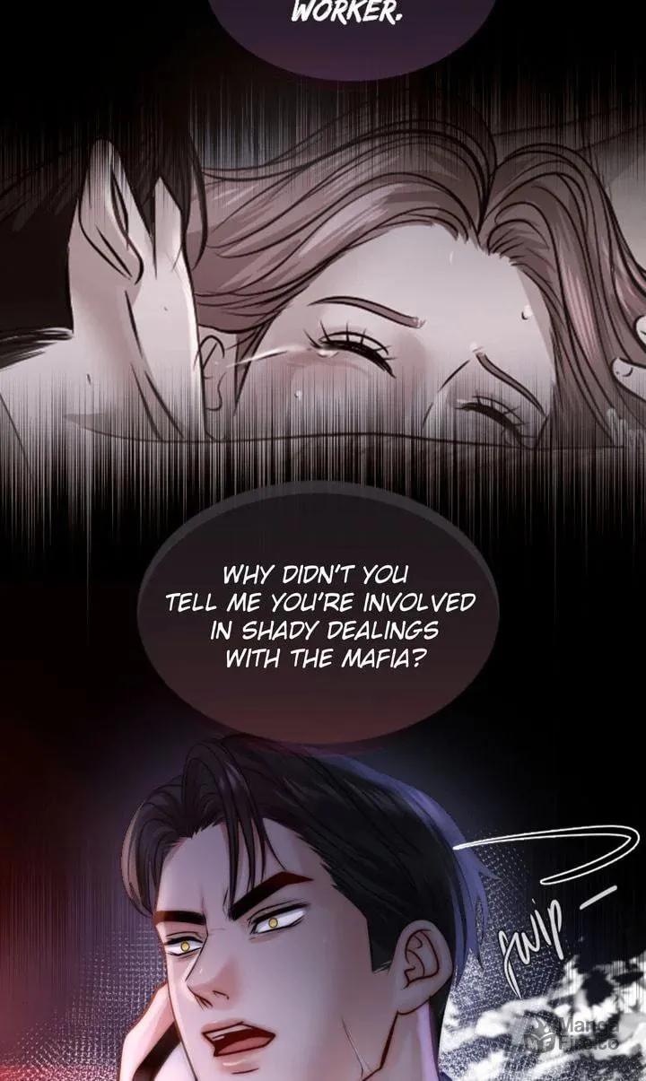 The Billionaire’s Replacement Wife Chapter 6 page 51 - 