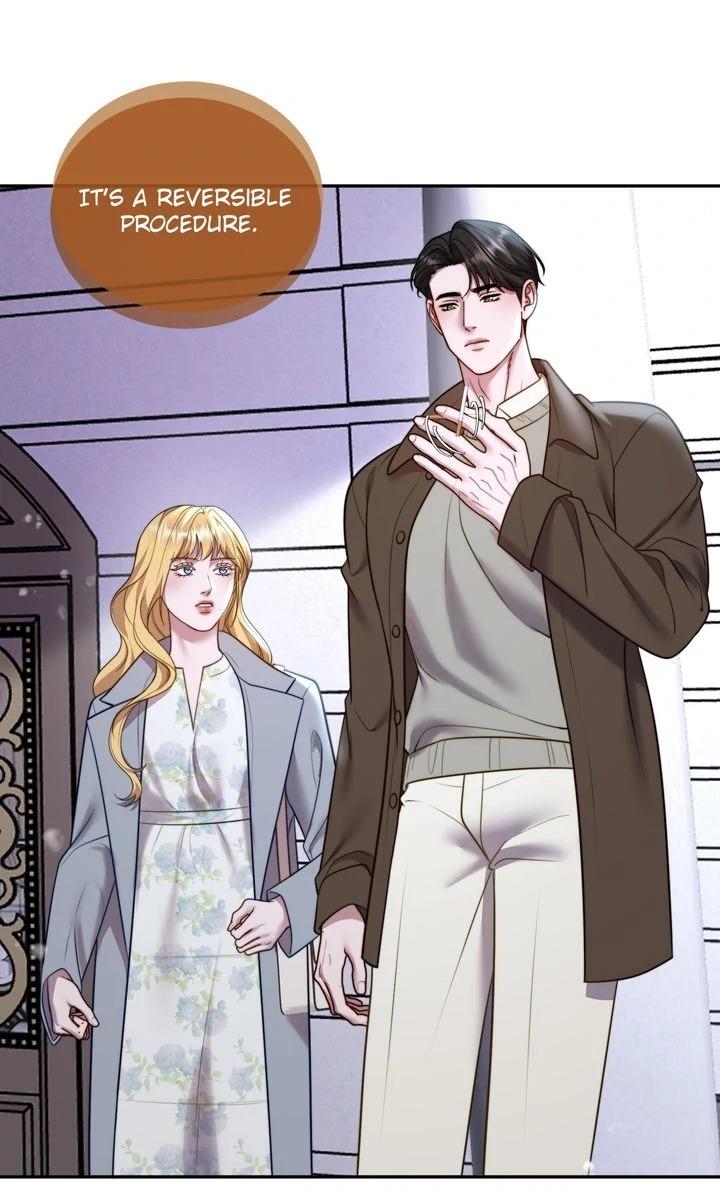 The Billionaire’s Replacement Wife Chapter 61 page 29 - 
