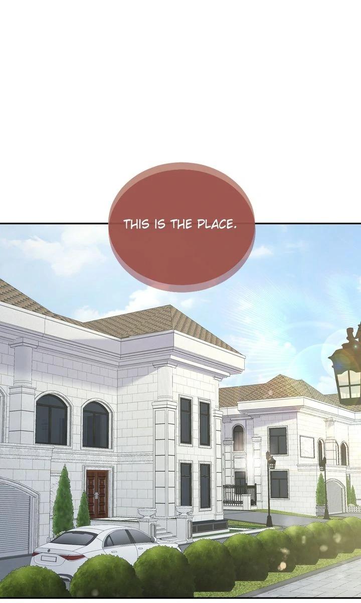 The Billionaire’s Replacement Wife Chapter 62 page 2 - 