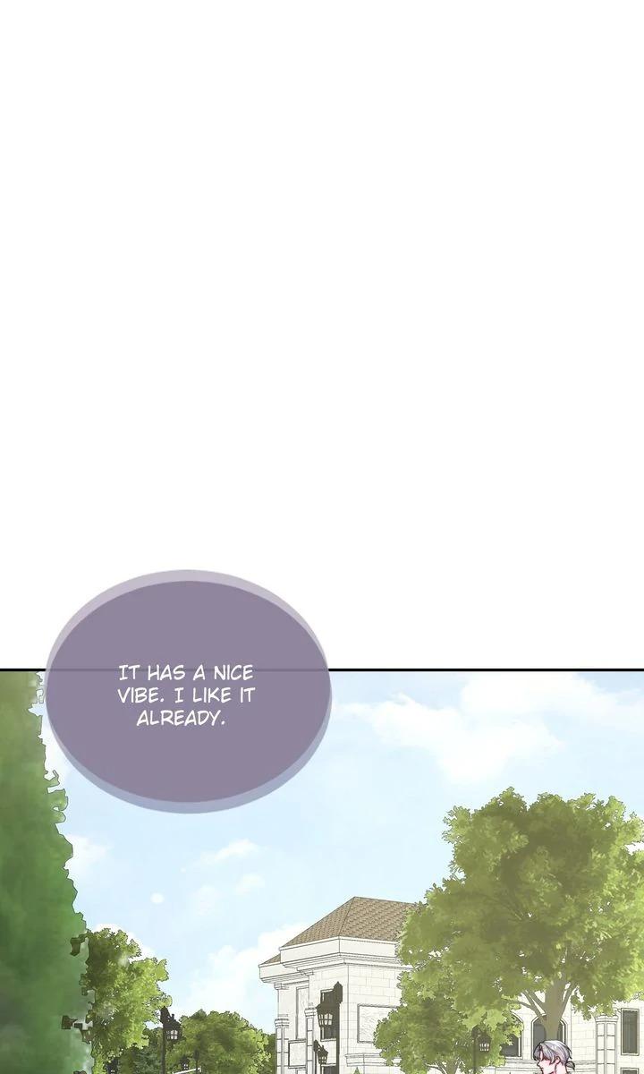 The Billionaire’s Replacement Wife Chapter 62 page 3 - 