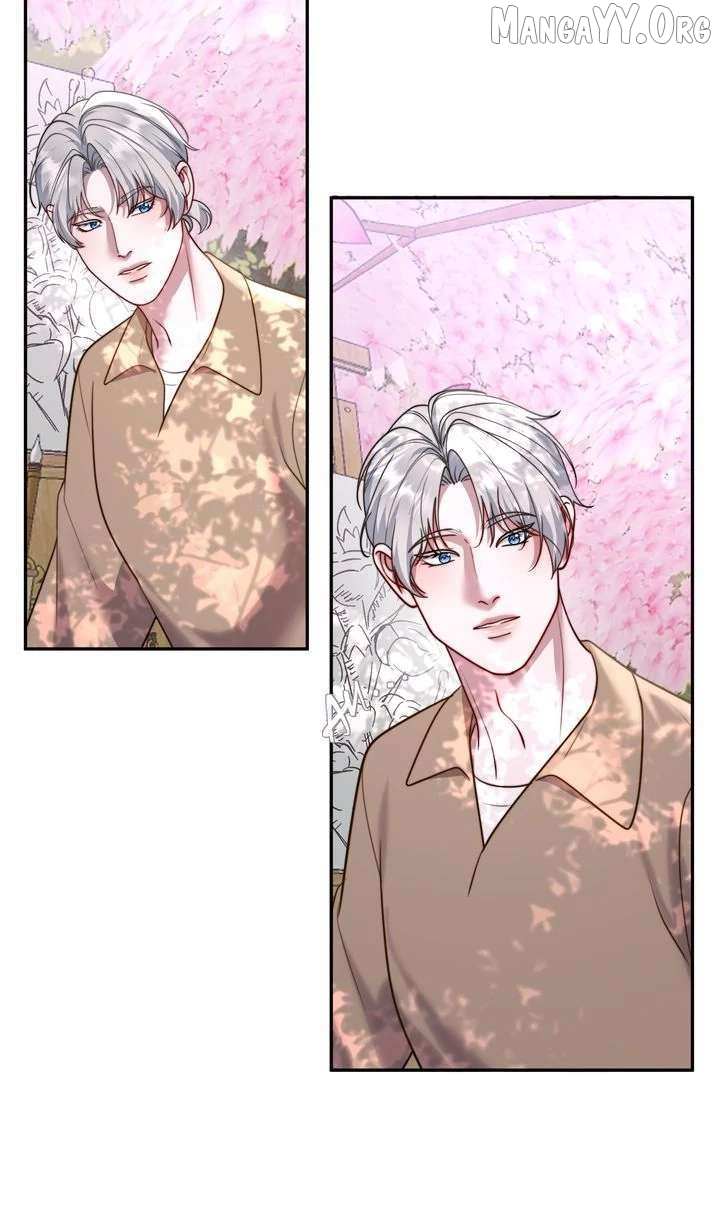 The Billionaire’s Replacement Wife Chapter 63 page 31 - 