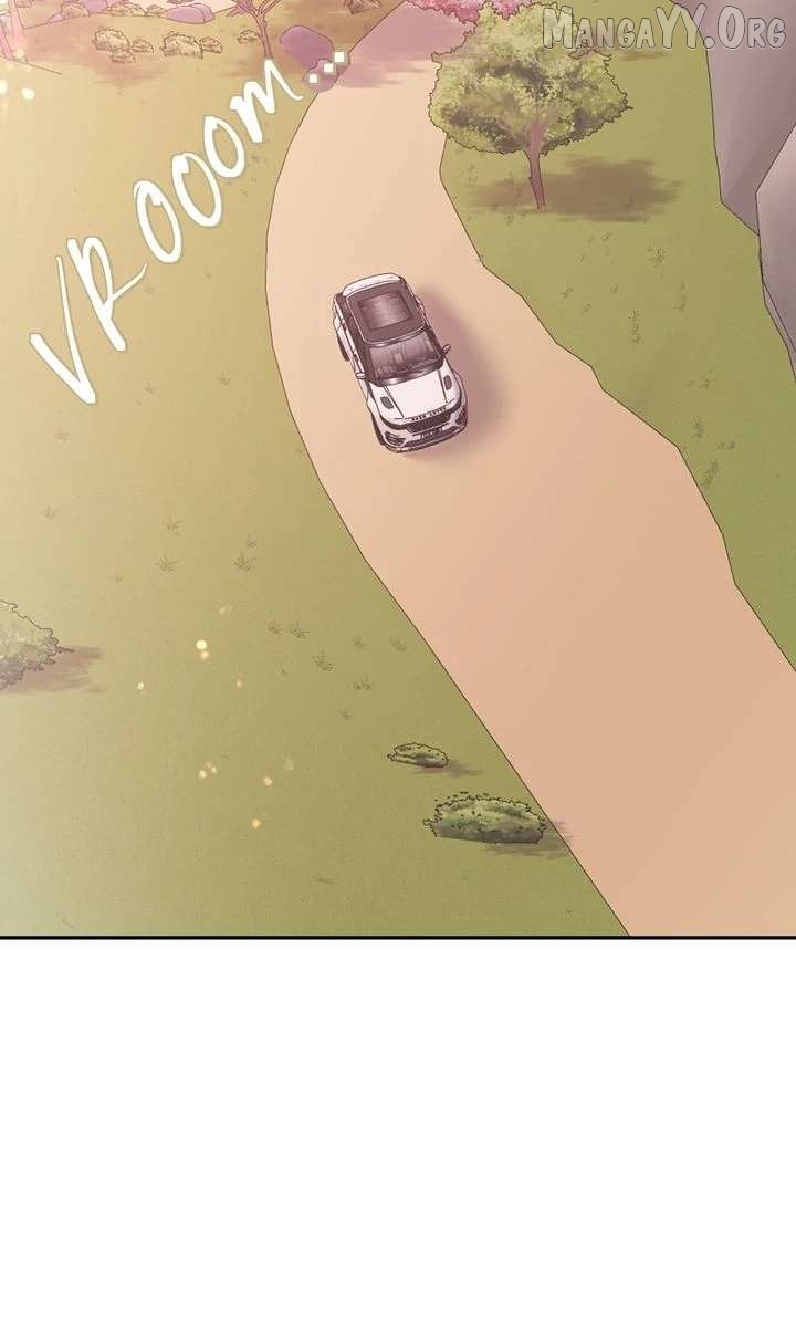 The Billionaire’s Replacement Wife Chapter 63 page 49 - 