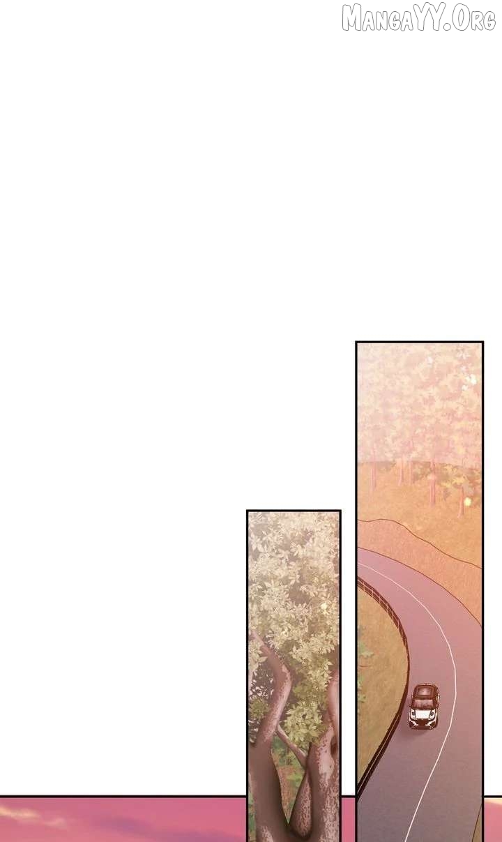 The Billionaire’s Replacement Wife Chapter 63 page 50 - 