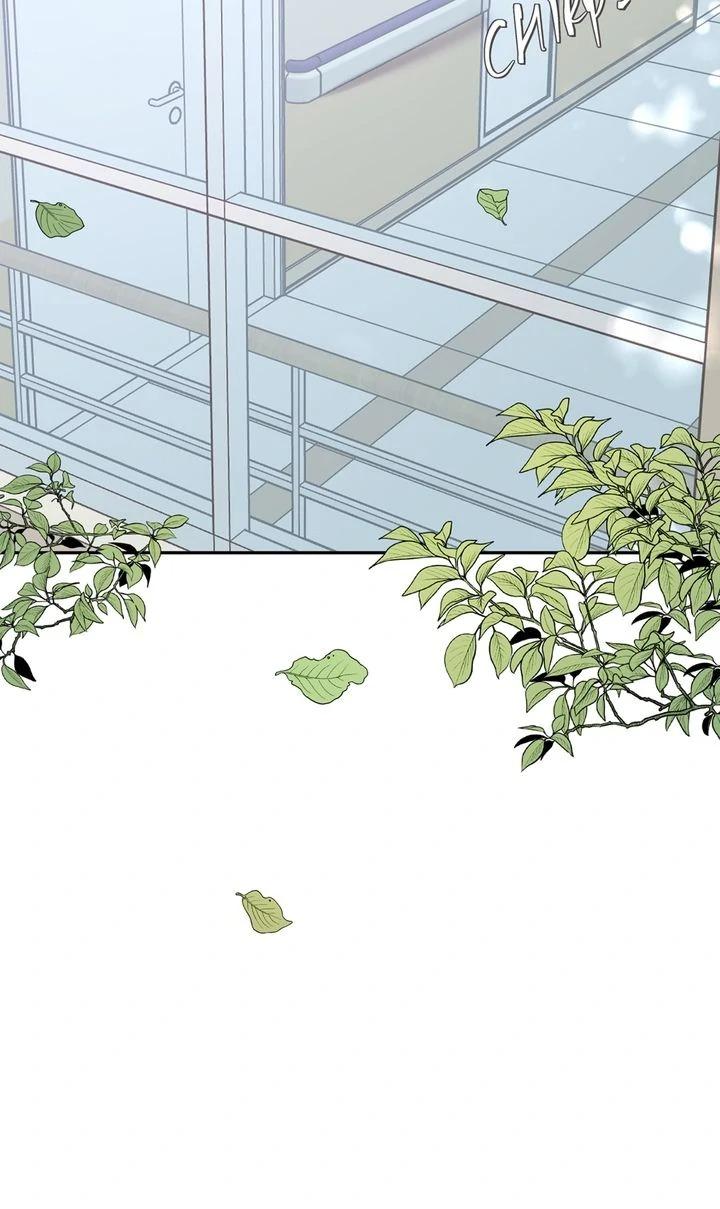 The Billionaire’s Replacement Wife Chapter 65 page 15 - 