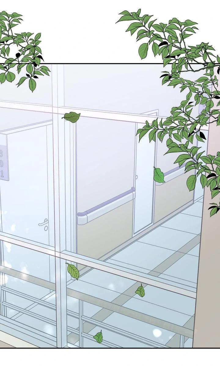 The Billionaire’s Replacement Wife Chapter 65 page 50 - 