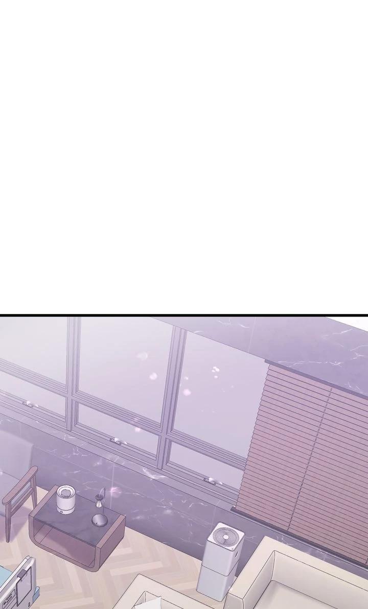 The Billionaire’s Replacement Wife Chapter 66 page 27 - 